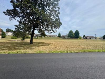 000 Lee Anna Drive, West Plains, Missouri 65775, Estados Unidos