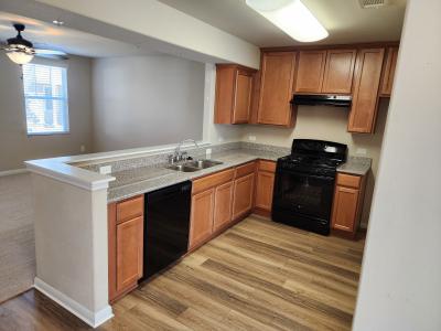 330 Trestle Tree, San Marcos, Teksas 78666, Amerika Birleşik Devletleri