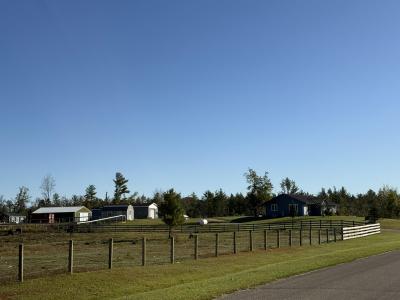 33486 Driftwood Avenue , B, Warrens, Wisconsin 54666, Estados Unidos