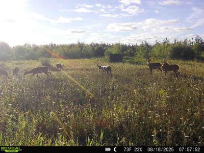 V/L 120AC Bolton Road, Posen, Michigan 49776, USA