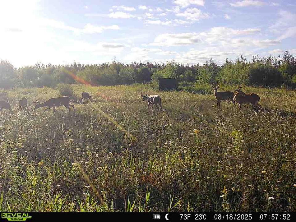 V/L 120AC Bolton Road, Posen, ميشيغان 49776, الولايات المتحدة