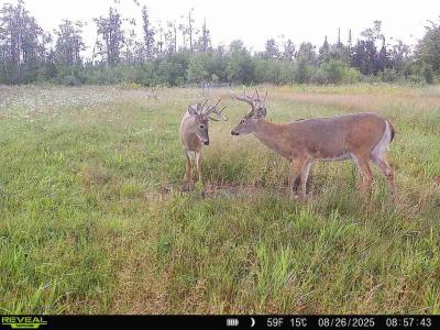 V/L 120AC Bolton Road, Posen, ميشيغان 49776, الولايات المتحدة