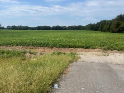 0 Wilson Dam Rd. & 0 Old Lee Hwy, 35674, Alabama 35674, Estados Unidos