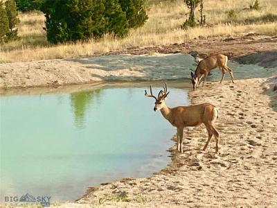 482 Pinto Ln , Butte, Montana 59701