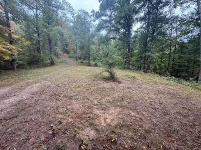 15709 Trace Road, Rush, Kentucky 41168, USA