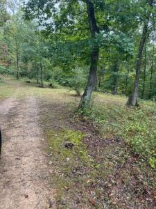 15709 Trace Road, Rush, 肯塔基州 41168, 美國