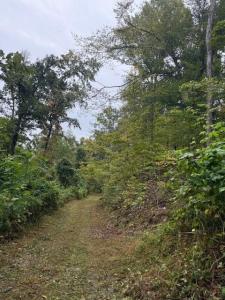 15709 Trace Road, Rush, 肯塔基州 41168, 美國