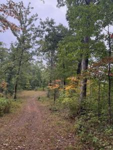 15709 Trace Road, Rush, 肯塔基州 41168, 美國