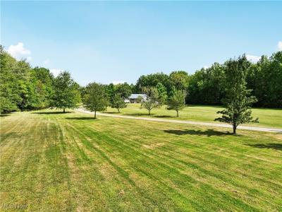 40000 Myrtle Court, Elyria, 俄亥俄州 44035, 美国