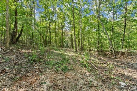 0 Cleve Wright Road, Dawsonville, Georgia 30534, HOA KỲ