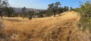 1510 Lilley Mountain, Coarsegold, Kalifornien 93614, USA