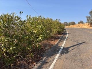 1510 Lilley Mountain, Coarsegold, Kalifornien 93614, USA