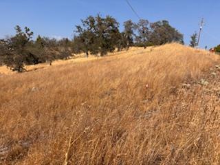 1510 Lilley Mountain, Coarsegold, Kalifornien 93614, USA