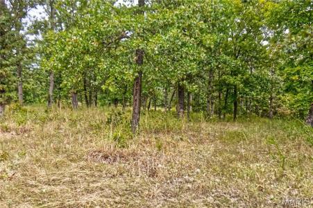 26049 Ivy Bend Rd, Sin Incorporar, Missouri 65078, Estados Unidos