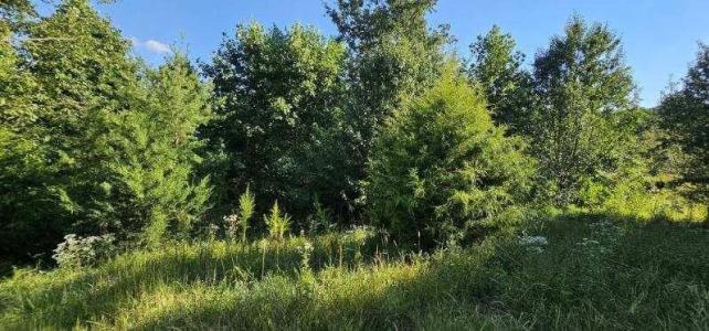 Lot 561 Bluff View Drive, Dunlap, Tennessee 37327, États-Unis