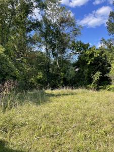 118A High Street, Oak Hill, West Virginia 25901