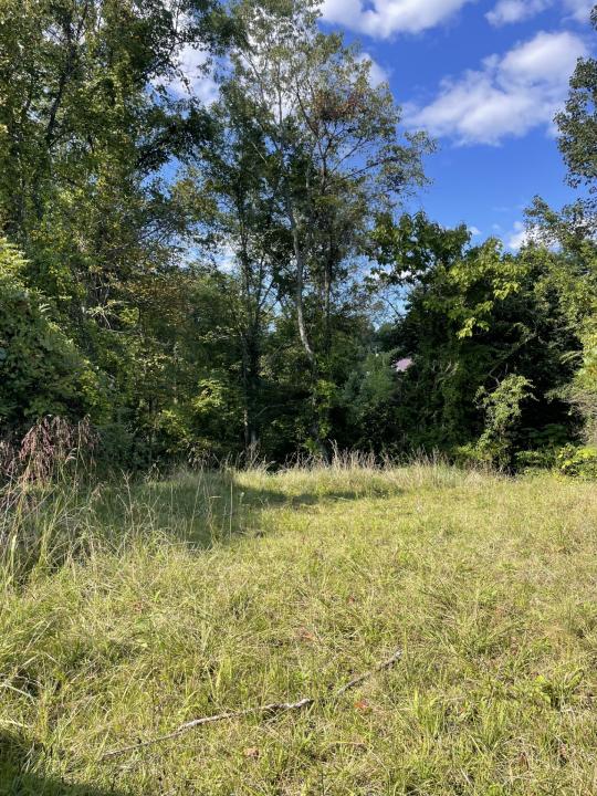 118A High Street, Oak Hill, Западная Вирджиния 25901, Соединенные Штаты