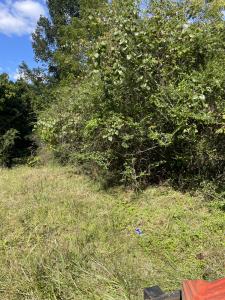 118A High Street, Oak Hill, Западная Вирджиния 25901, Соединенные Штаты