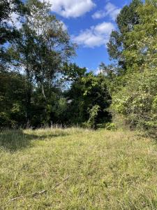 118A High Street, Oak Hill, Западная Вирджиния 25901, Соединенные Штаты