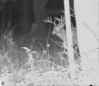 Lots A & B Schuss Mountain Road, Mancelona, Michigan 49659, USA