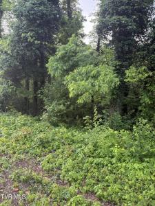 Lot 14 Ashley Street, Kingsport, Tennessee 37664