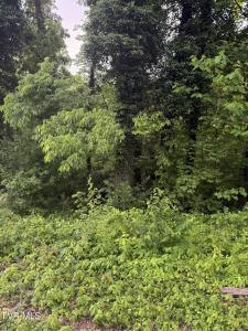 Lot 14 Ashley Street, Kingsport, Tennessee 37664