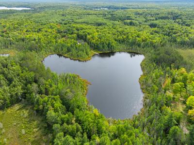 1905N Flowage Rd, Sherman, Wisconsin 54552, Amerika Birleşik Devletleri