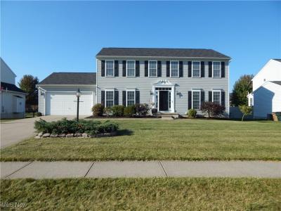 4483 Ridgestone Way, Medina, Ohio 44256, USA