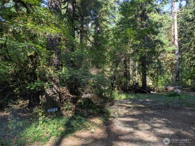 63783 W Cascade Drive , D1-17, Marblemount, Washington 98267, USA