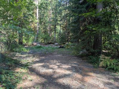 63783 W Cascade Drive , D1-17, Marblemount, Вашингтон 98267, Соединенные Штаты