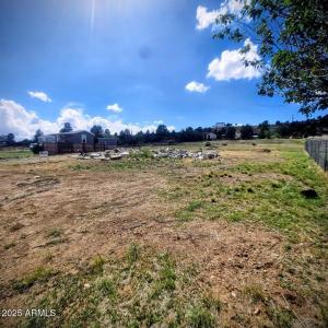 18318 S Frontier Road #328, Peeples Valley, Аризона 86332, Соединенные Штаты