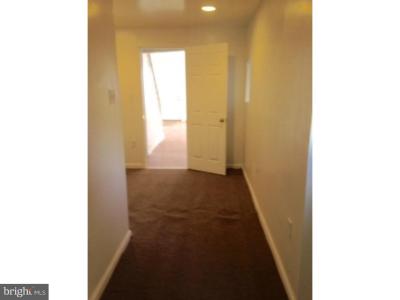 2521 S. Sheridan Street, Philadelphia, Pennsylvania 19148, Estados Unidos