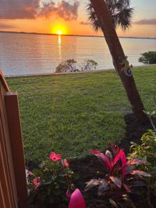 4440 NE Sandpebble Trace Unit#104, Stuart, Florida 34996, USA