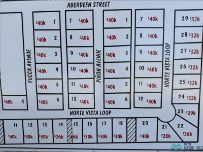 BLK 1, Lot 12 Norte Vista Loop, Hagerman, Nouveau-Mexique 88232, États-Unis