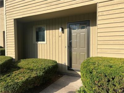 47 W Utica Street, Oswego, 纽约州 13126, 美国