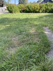 103 Hayes Street, Oak Hill, ウェストバージニア 25901, アメリカ合衆国