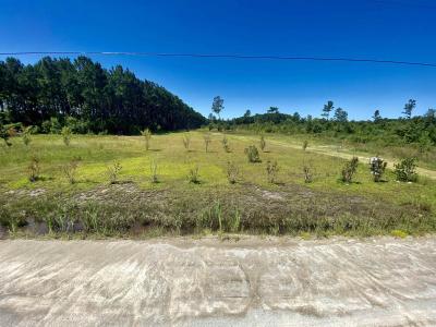 1259 Cheyenne Rd., Conway, SC 29526, USA