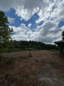 0 Howard Simmons Road, Ellijay, Georgia 30540, USA