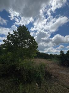 0 Howard Simmons Road, Ellijay, Georgia 30540, USA