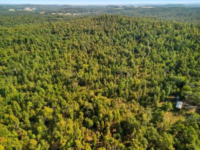 Rr 1 Box 2518, Dora, Missouri 65637, Stati Uniti