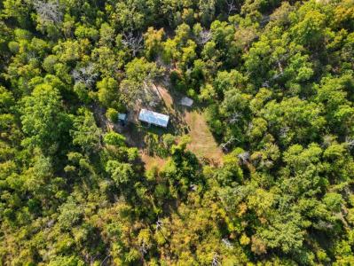 Rr 1 Box 2518, Dora, Missouri 65637, Stati Uniti