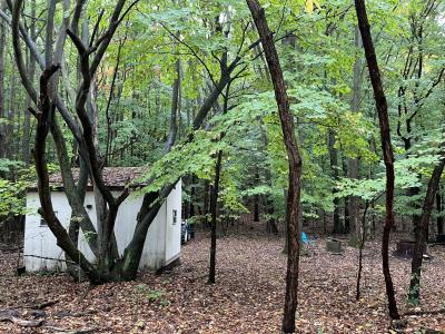 0 65th Street, Holland, Michigan 49423, Estados Unidos