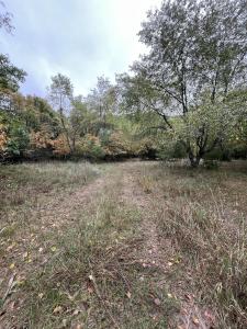 0 65th Street, Holland, Michigan 49423, Estados Unidos