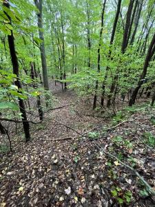 0 65th Street, Holland, Michigan 49423, Estados Unidos