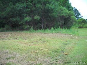 00 Highway 231, Ozark, Alabama 36360, USA