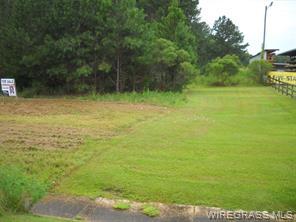 00 Highway 231, Ozark, 앨라바마 36360, 미국