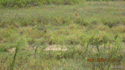 224 S Interstate Drive, Sikeston, Missouri 63801