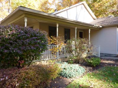 5480 Scandia Drive, Bemus Point, New York 14712