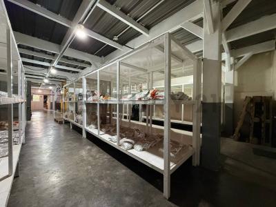 Caracas, Distrito Capital 00001, Venezuela