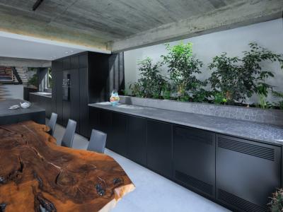 Mullet, Tirana, Albania